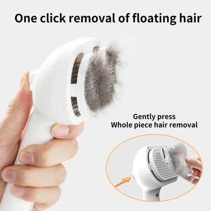 Advance Steam Brush for Pets